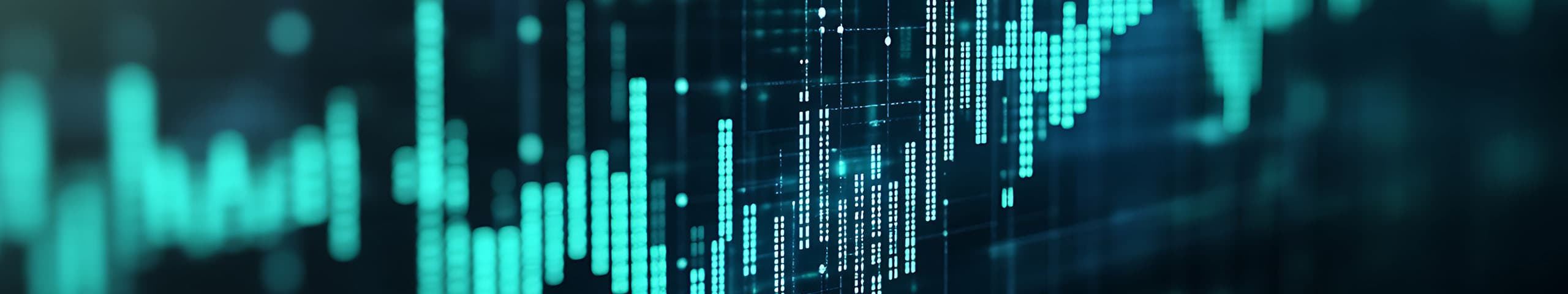 利用動向-Ubuntu・Nginx・Next.js(2025年5月)